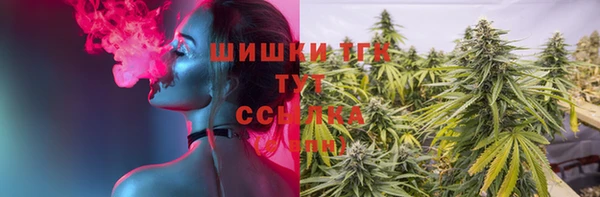 дмт Лагань