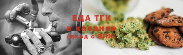 сатива Заполярный