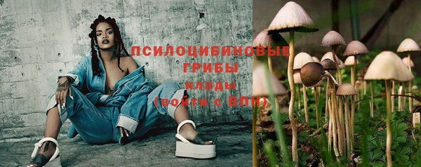 трава Лабытнанги