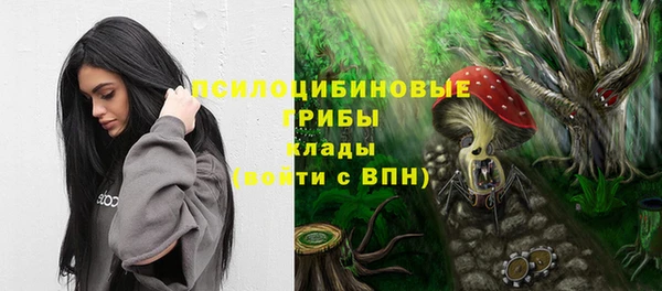 дмт Лагань