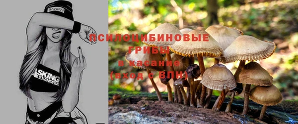дмт Лагань