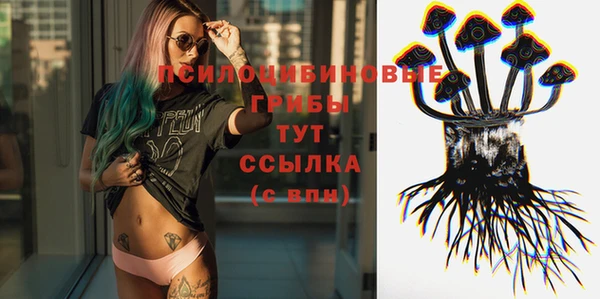 дмт Лагань